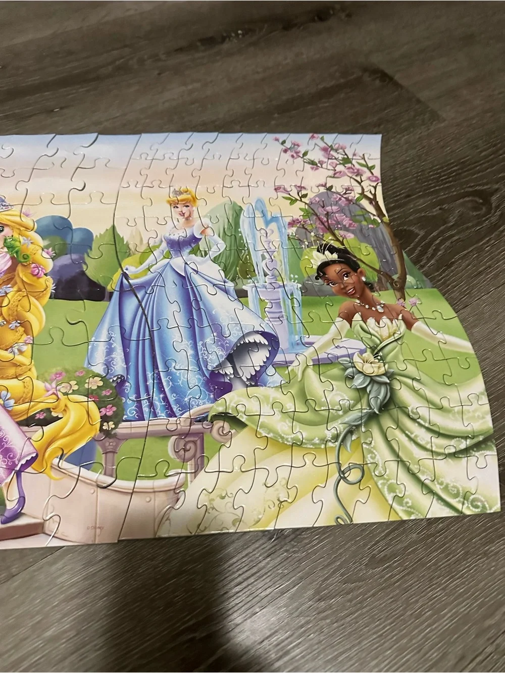 Disney Princess 3 in 1 Panoramic Puzzle (3 Puzzles in 1) - 172 Pieces